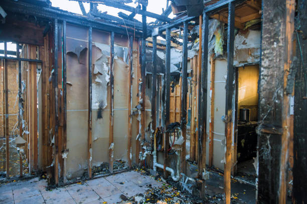 Professional Fire Damage Removal technician working in Clear Lake, MN